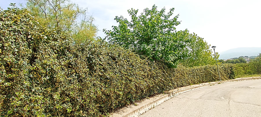 Chalet-en-venta-para-acabar-en-Gormaig-26