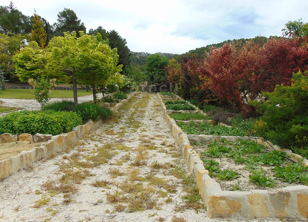 Masia-de-recreo-en-venta-en-Alicante-Sierra-Mariola-14