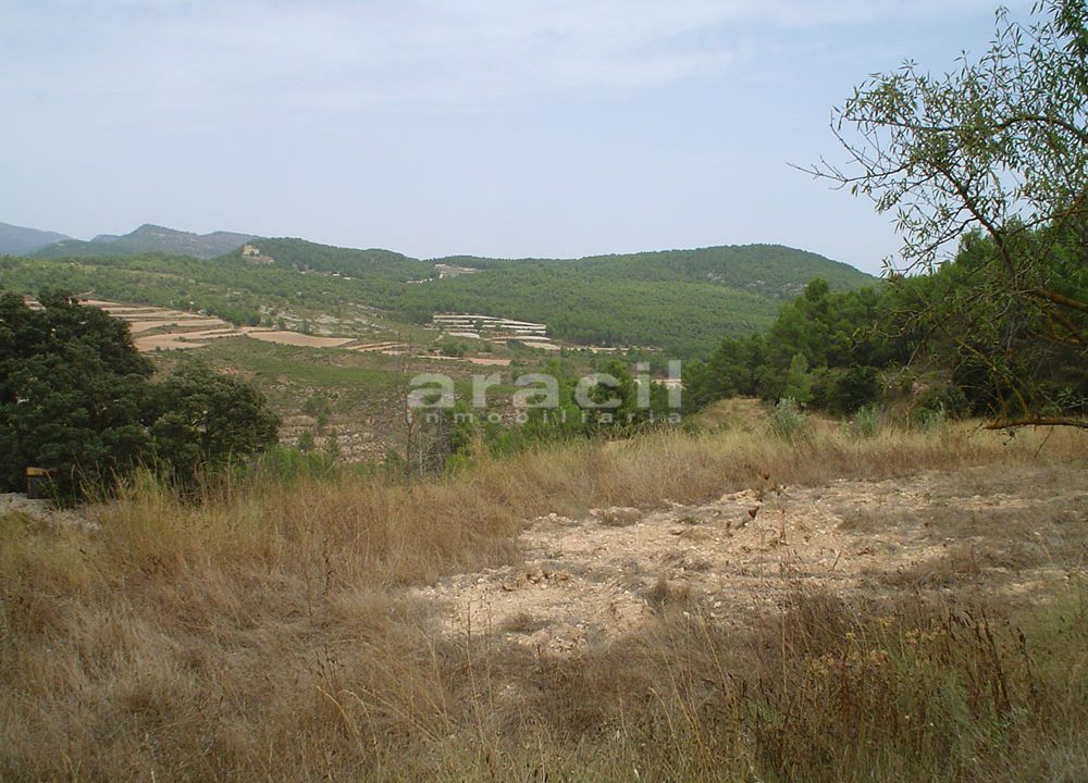 Masia en venta en la Fuente Roja 4