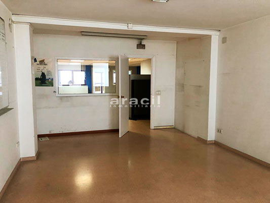 PHOTO-2021-01-04-11-57-26_8ligera