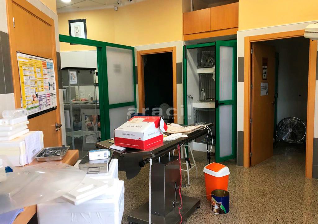 local-amplio-foto-15-1