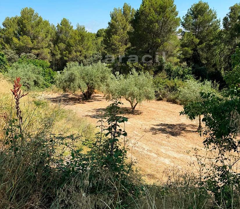 Masia con buen terreno y piscina en venta en Alcoy 42