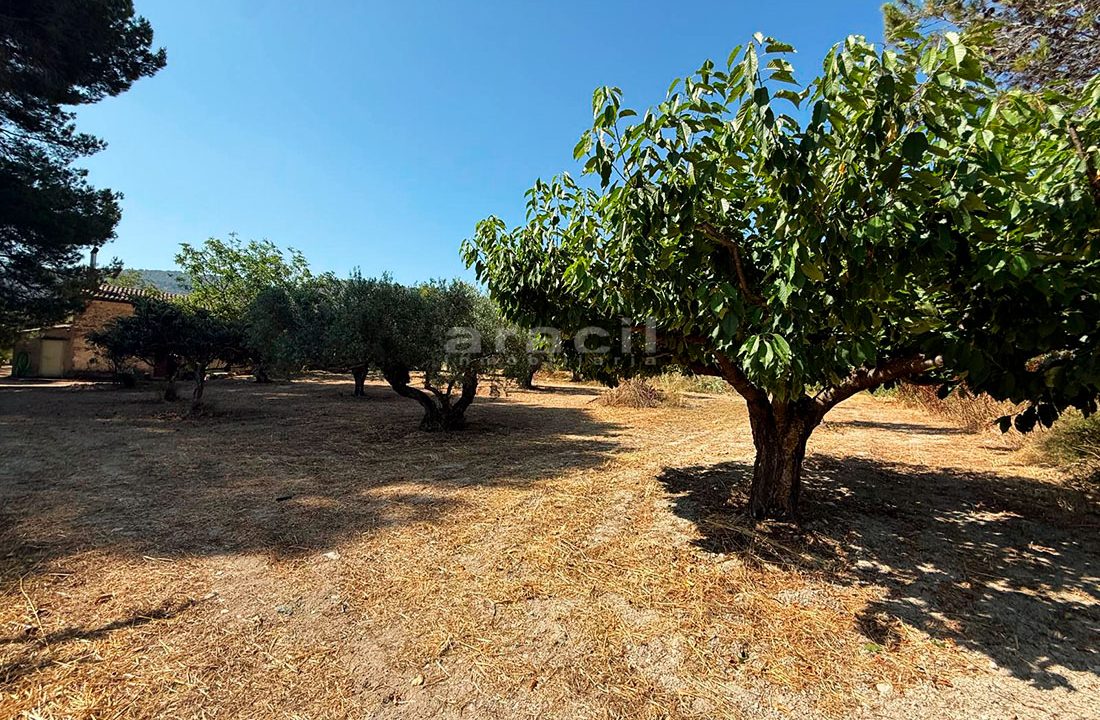 Masia con buen terreno y piscina en venta en Alcoy 15