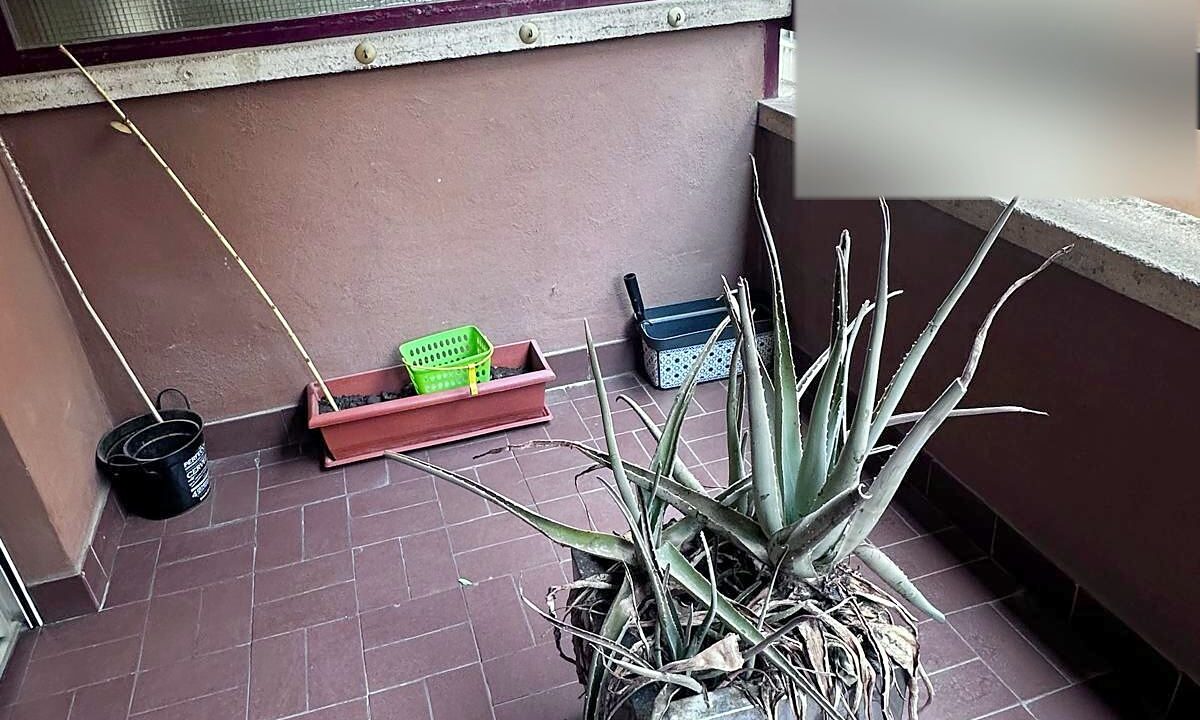 15 Piso en venta en Santa Rosa, Alcoy - Terraza 2